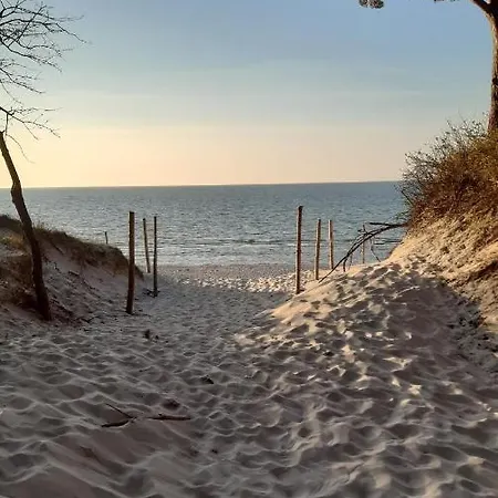 Hexagon Nr16 Grzybowo (West Pomeranian)